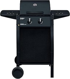 Guía para elegir la mejor barbacoa de gas con termómetro