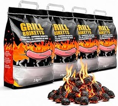 Descubre los tipos de briquetas para barbacoa y sus características