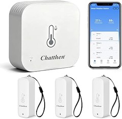 Pros y contras de usar termómetros WiFi en la cocción de carne