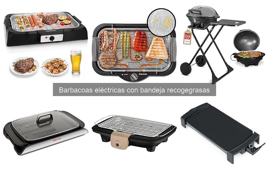 Alternativas a las Barbacoas Eléctricas con Bandeja Recogegrasas