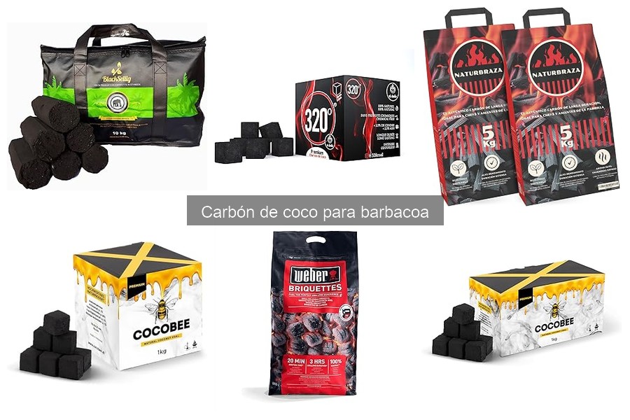 Alternativas al carbón de coco para barbacoa: ¿cuáles son?
