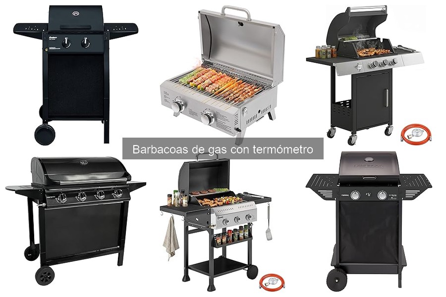 Cómo elegir la mejor barbacoa de gas con termómetro