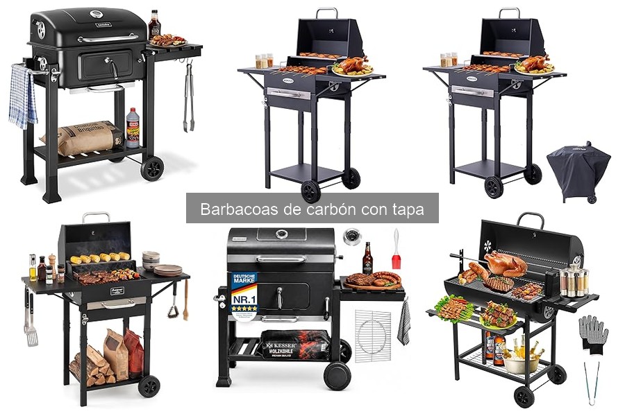 Cómo seleccionar la mejor barbacoa de carbón con tapa
