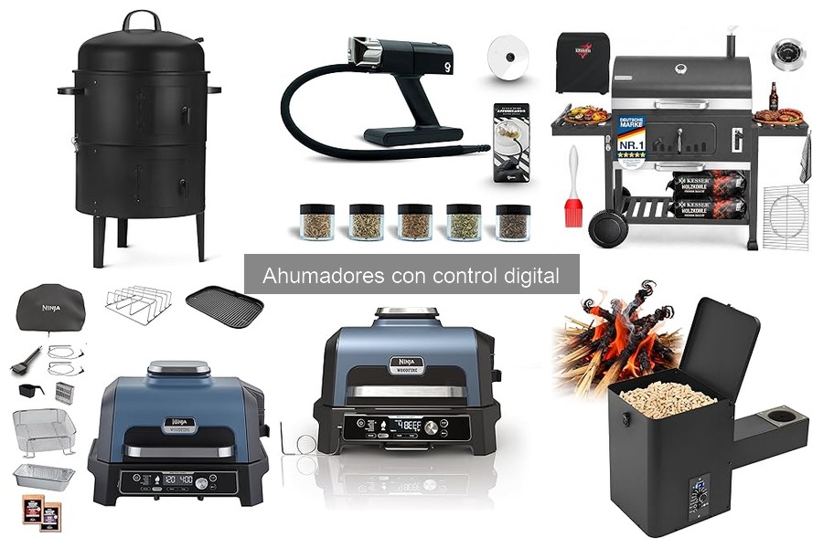 Comparativa: Ahumadores digitales vs. tradicionales