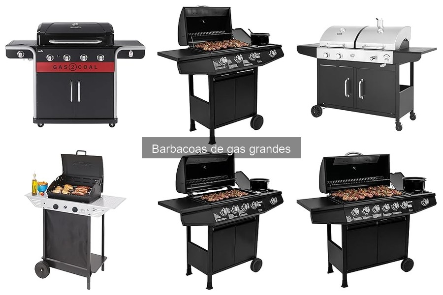 Comparativa: Barbacoa de Gas vs Carbón - ¿Cuál Elegir?