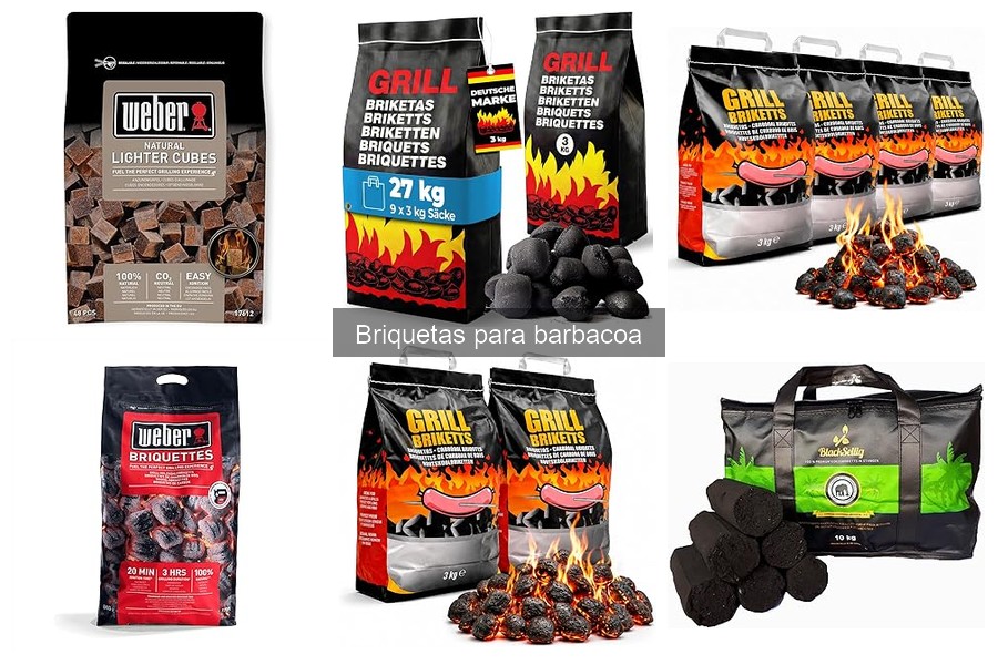 Dónde comprar briquetas para barbacoa: tienda y online