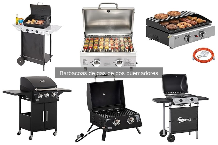 Guía de compra de barbacoas de gas de dos quemadores