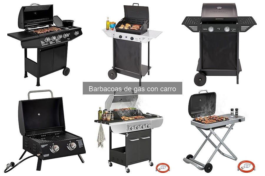Mantenimiento de Barbacoas de Gas con Carro: Guía Práctica