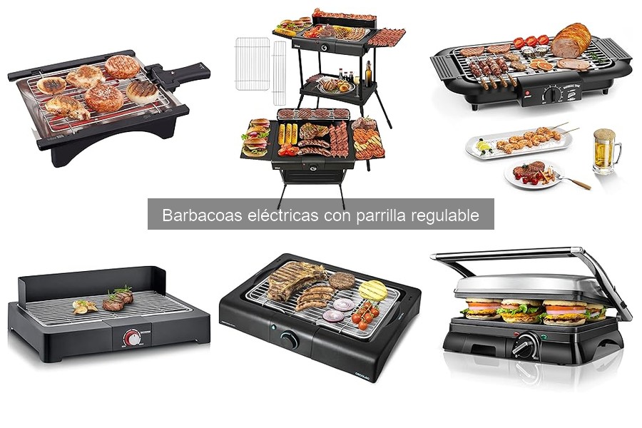 Mantenimiento de Barbacoas Eléctricas con Parrilla Regulable