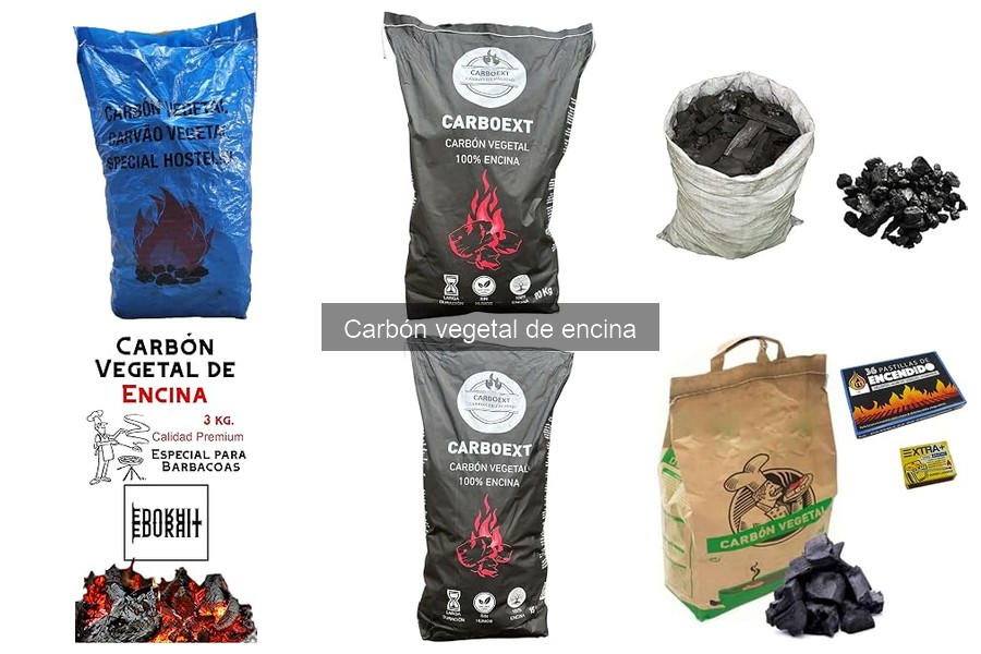 Mejores marcas de carbón vegetal de encina para barbacoas
