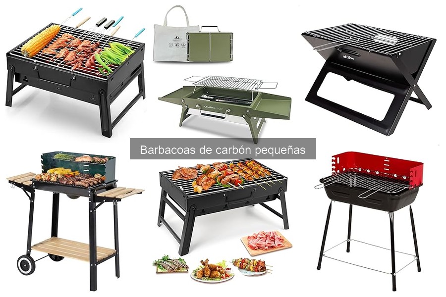 Precios de barbacoas de carbón pequeñas: ¡descubre ofertas!