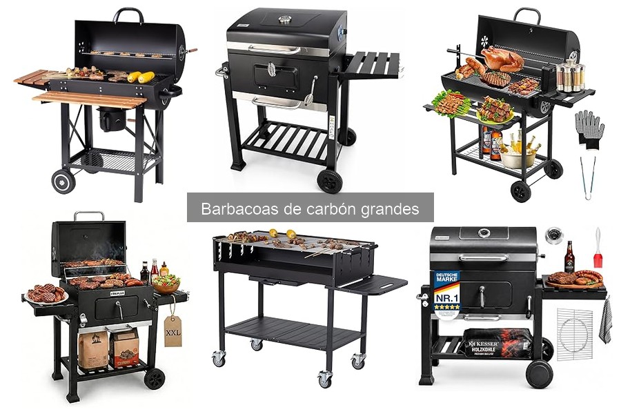 Recetas deliciosas para barbacoas de carbón grandes