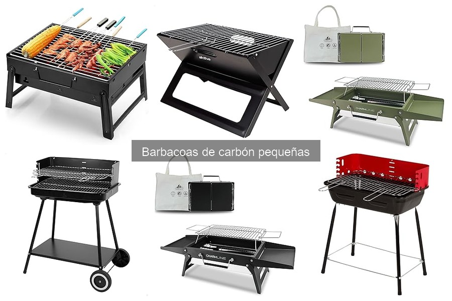 Tipos de Barbacoas de Carbón Pequeñas: Guía y Recomendaciones