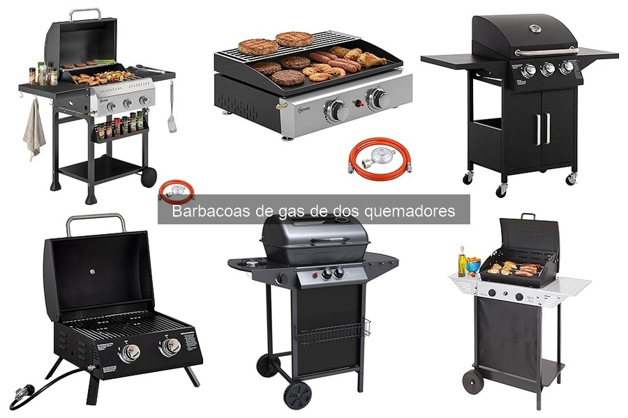 Tipos de barbacoas de gas de dos quemadores para tu hogar