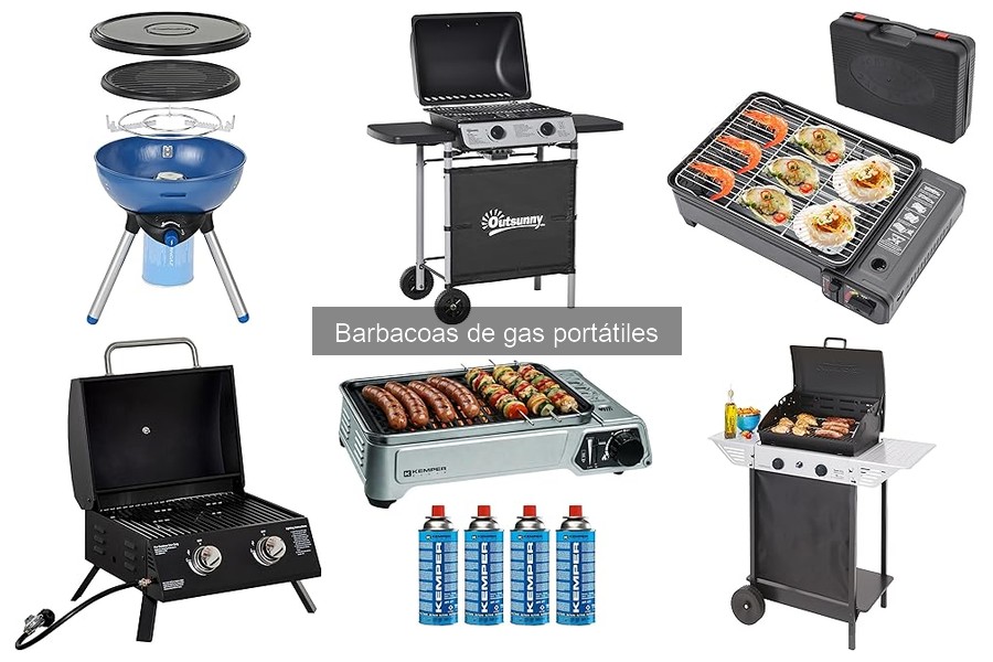 Tipos de Barbacoas de Gas Portátiles para Impresionar
