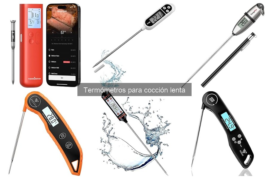 Ventajas de usar un termómetro para cocción lenta en casa